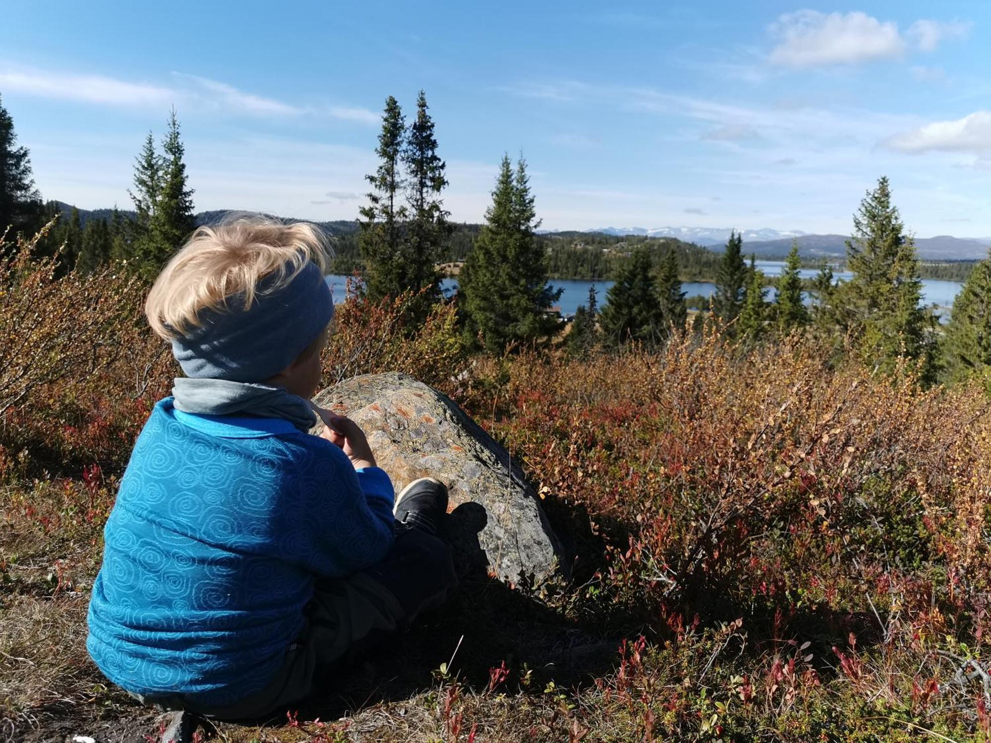 Hotel Gronolen Fjellgard Beitostolen Exteriér fotografie